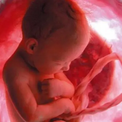 Symbolbild für persönliche Beratung: ein vertrauensvolles Gespräch beim IZP Berlin.